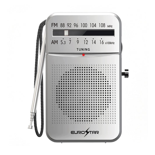 ICFS220S Portable AM/FM Radio, Silver