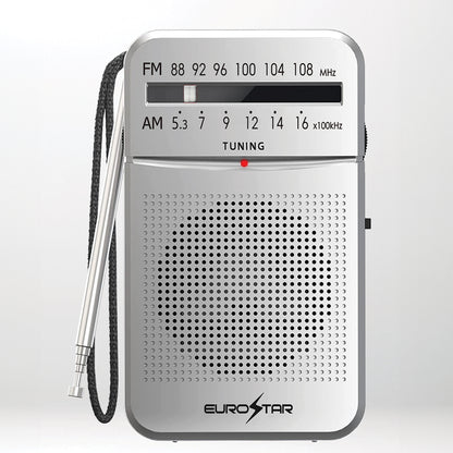 ICFS220S Portable AM/FM Radio, Silver