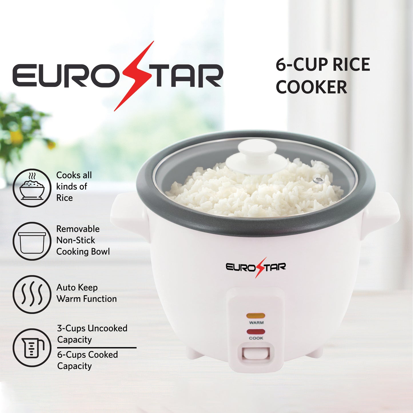 RC606 6-Cup Rice Cooker, White