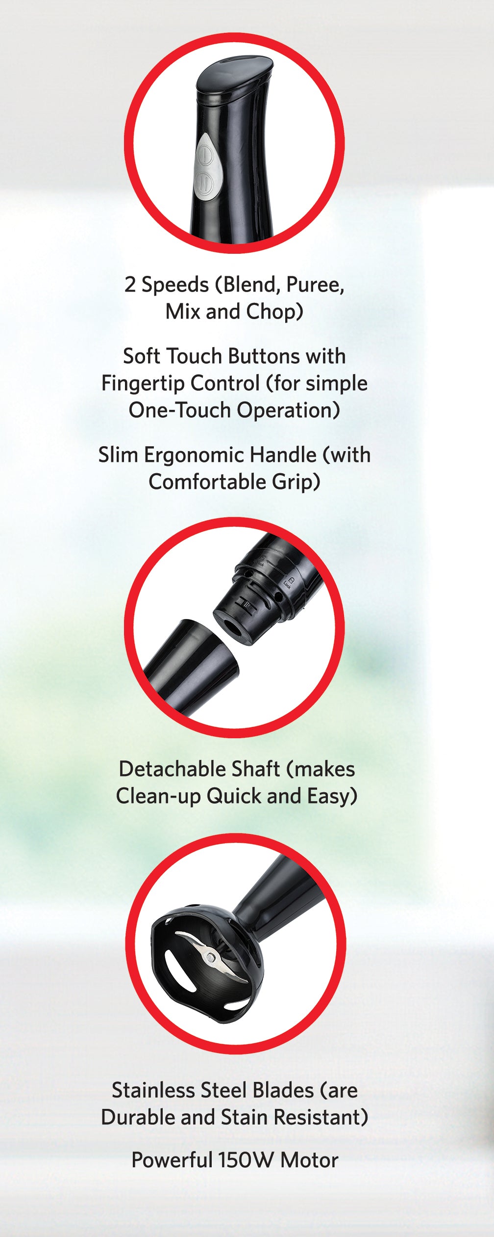 EH400B 2-Speed Immersion Hand Blender with Detachable Shaft, Black